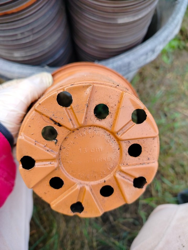 üretim saksıları - Görsel 4