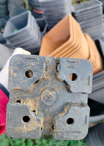 Gri Plastik üretim saksıları - Görsel 3