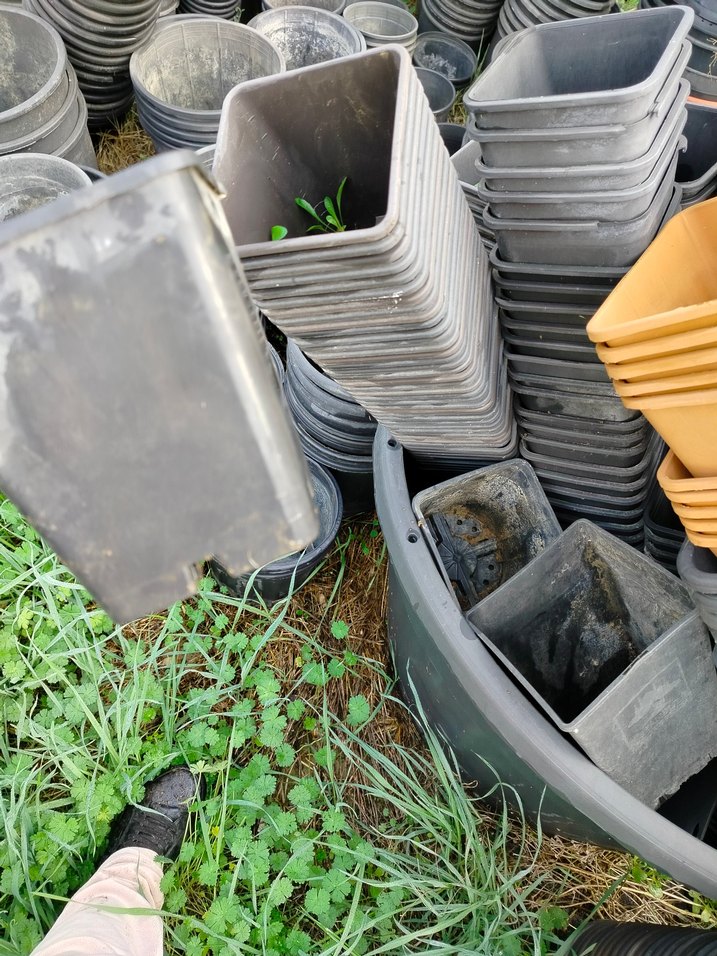 Gri Plastik üretim saksıları - Görsel 2