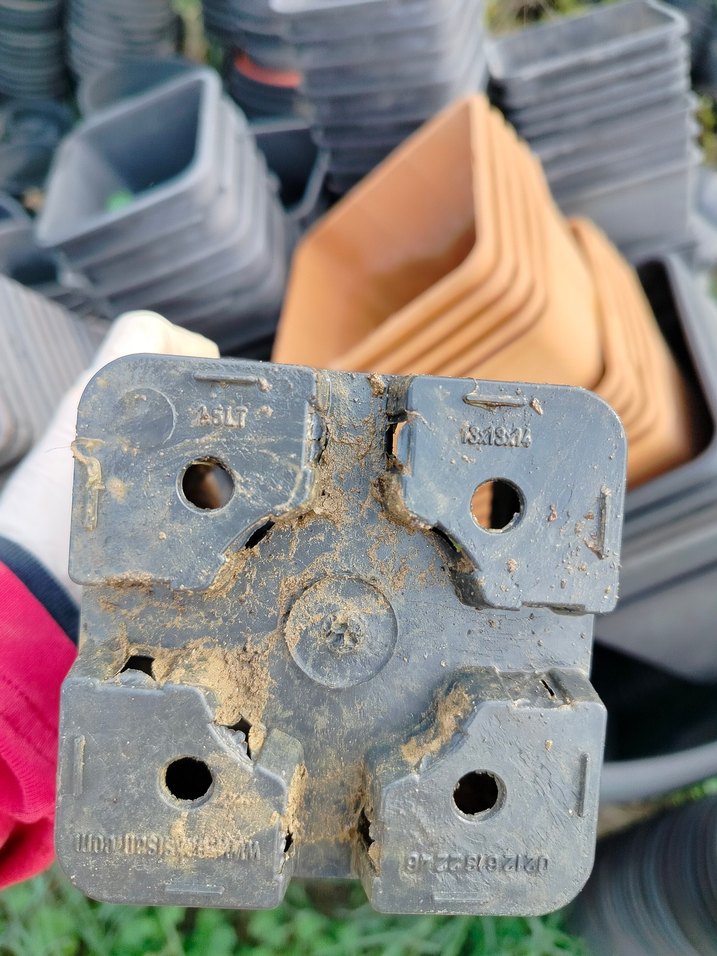 Gri Plastik üretim saksıları - Görsel 3