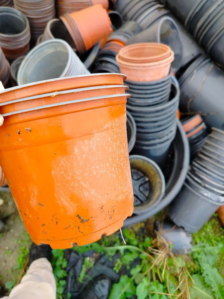 üretim saksıları - Görsel 4