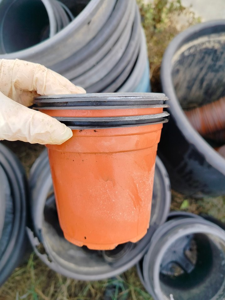 üretim saksıları - Görsel 3