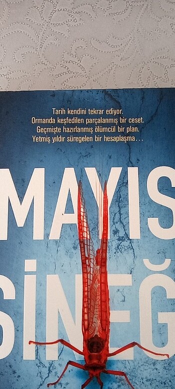  Mayıs sineği 