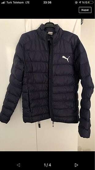 Puma mont