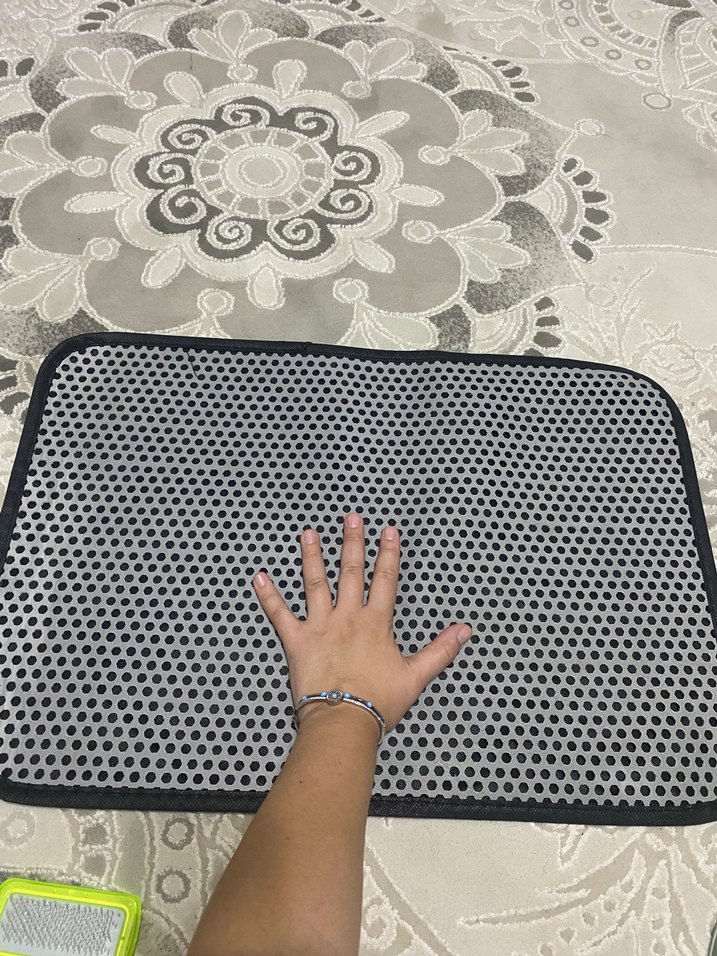 Çift Kaplı Kedi Mama Kabı ve Tüy Toplama Fırçası - Görsel 5