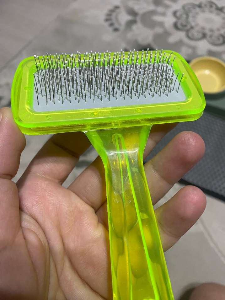 Çift Kaplı Kedi Mama Kabı ve Tüy Toplama Fırçası - Görsel 2