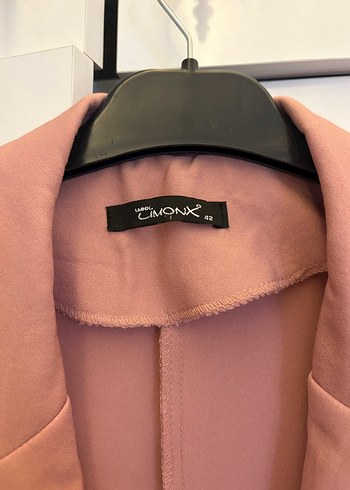 Pembe Uzun Kesim Kadın Blazer Ceket - Görsel 5