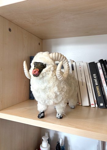 Koyun Beyaz Yünlü Koç Peluş Oyuncak - Görsel 2