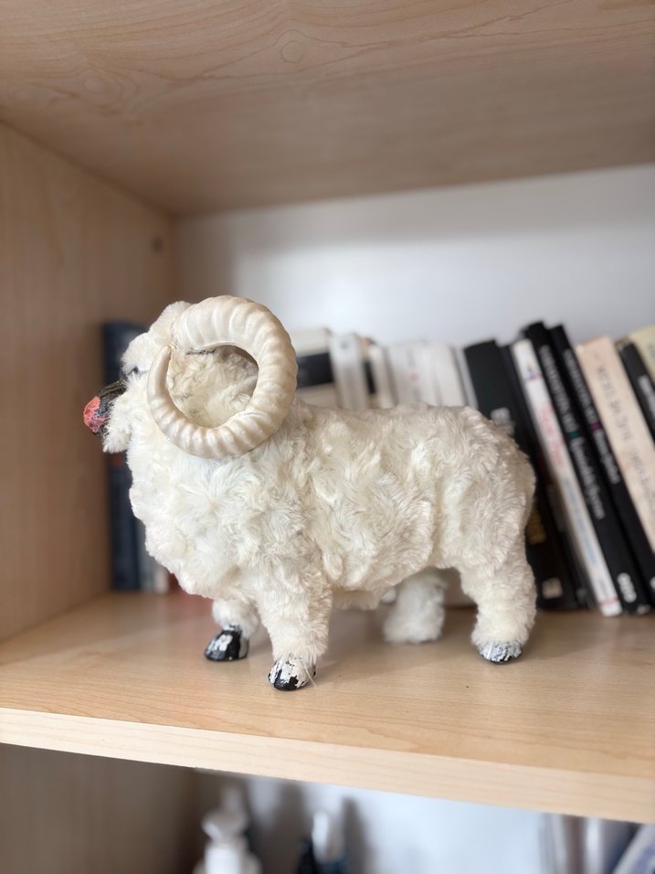 Koyun Beyaz Yünlü Koç Peluş Oyuncak - Görsel 4
