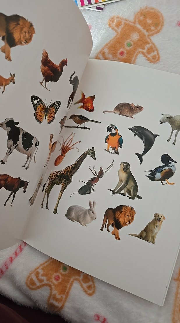 Hayvanlar Çizgi Çizgi Etkinlik Kitabı - Görsel 2