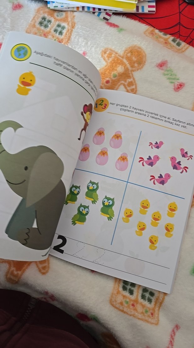 4+ Eğlenirken Öğren Çocuk Kitabı - Görsel 5