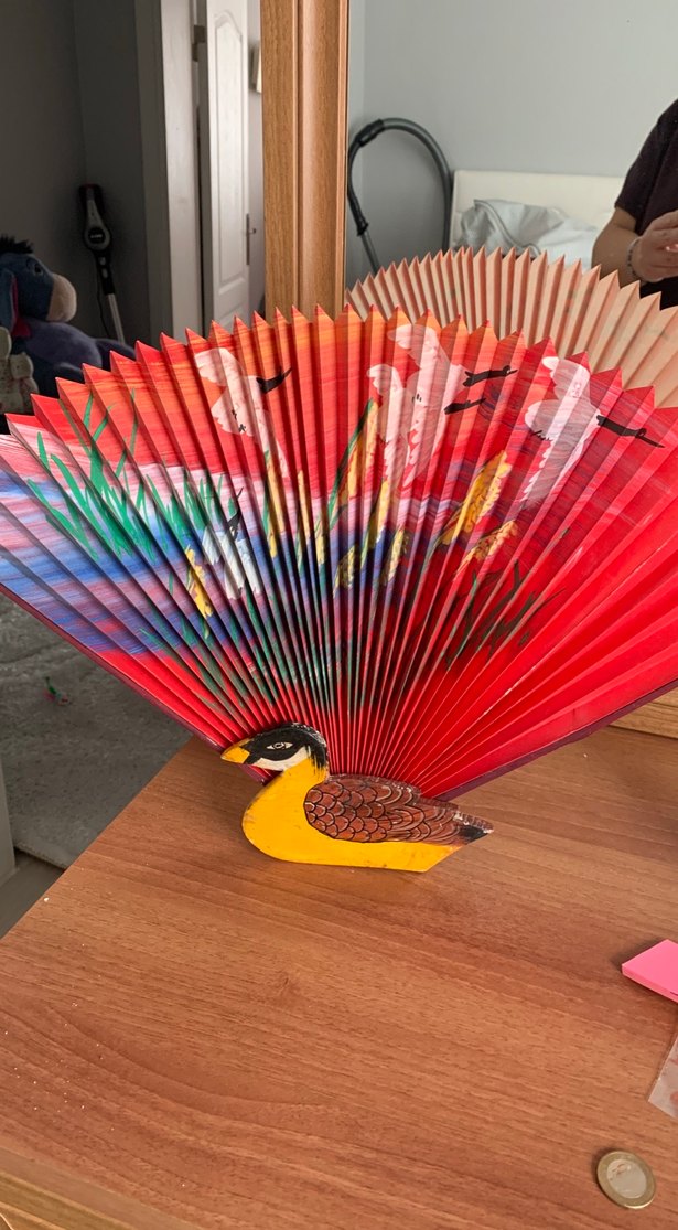Renkli Dekoratif Tavuskuşu Yelpaze - Görsel 2