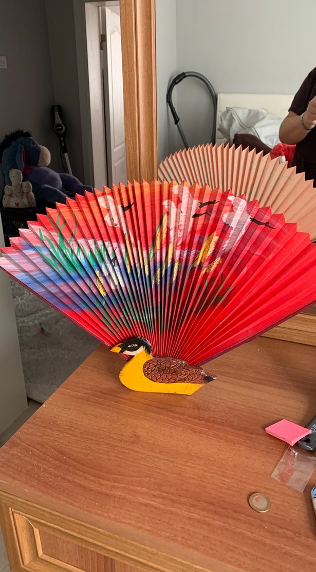 Renkli Dekoratif Tavuskuşu Yelpaze - Görsel 4