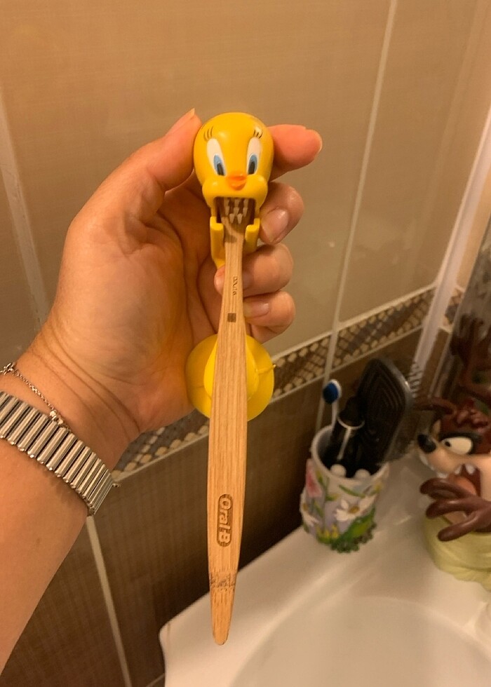 Diş fırçası askısı tweety - Görsel 4