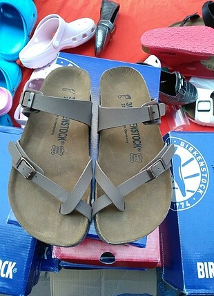 Birkenstock marka terlik