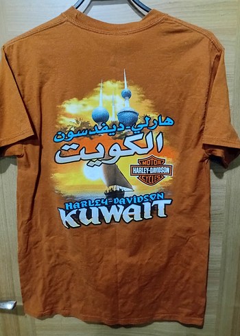 Harley-Davidson Vintage orijinal Kahverengi Baskılı Erkek Tişört - Görsel 3