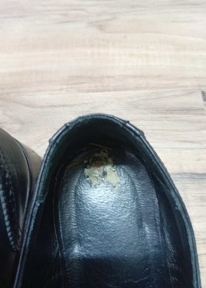 Deri ayakkabı  - Görsel 2