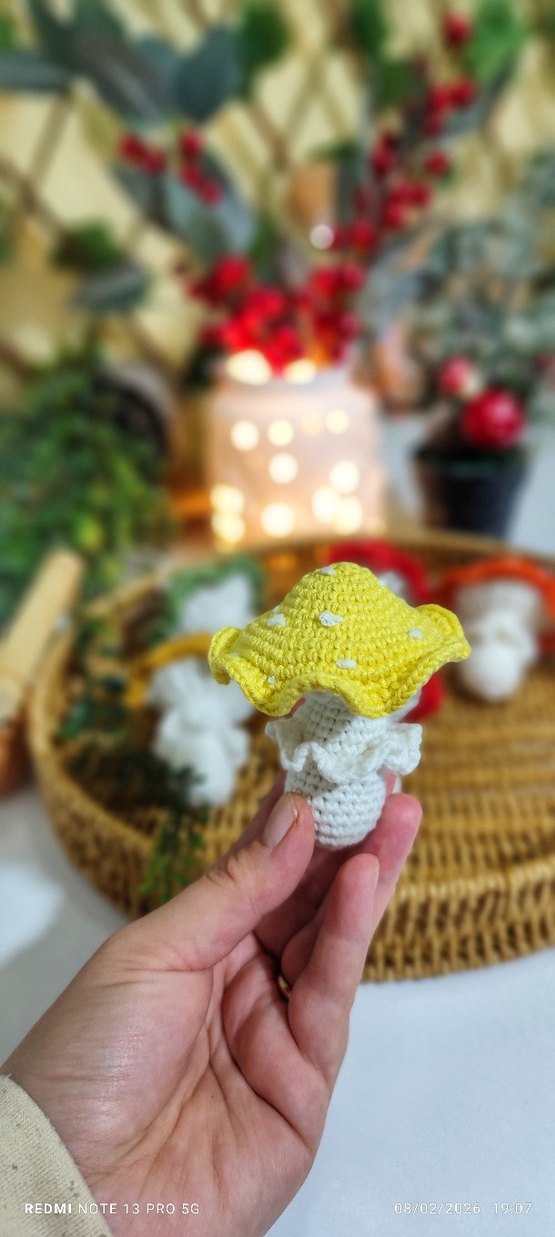 Renkli Örgü Mantar anahtarlik - Görsel 4