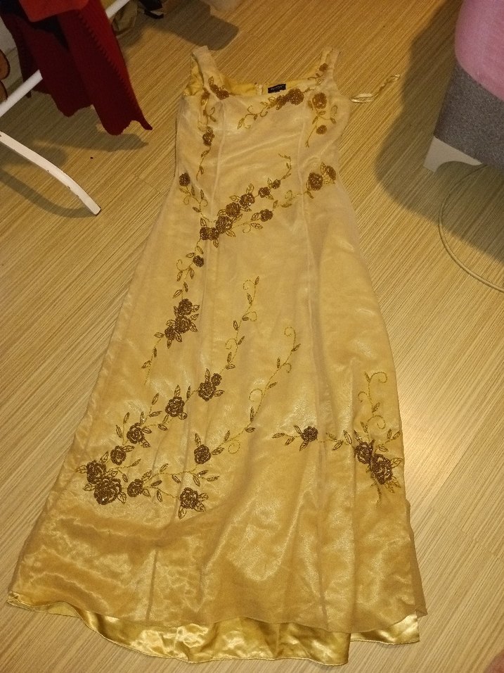 Nakışlı Bej Uzun Abiye Elbise - Görsel 4