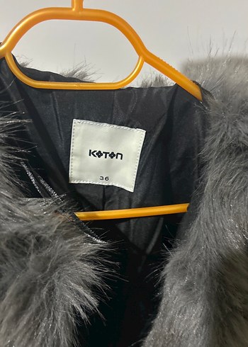 Gri kürk - Görsel 3