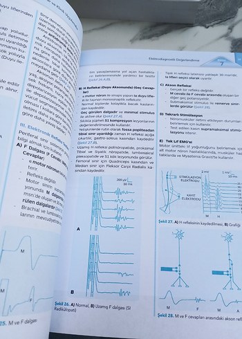 Beden Elektroterapide Temel Prensipler ve Klinik Uygulamalar