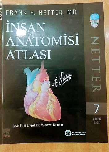 Netter İnsan Anatomisi Atlası 7.baskı