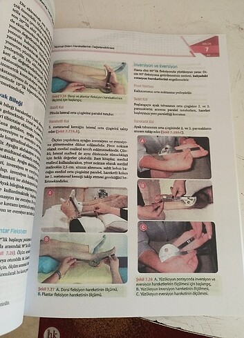 Tedavi hareketlerinde temel değerlendirme Prensipleri