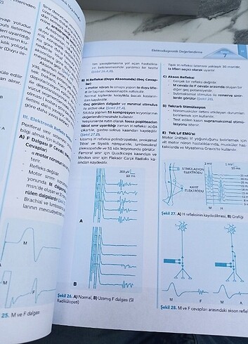  Elektro terapide Temel Prensipler ve Klinik Uygulamalar