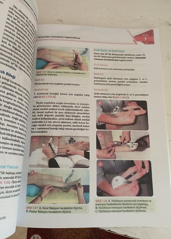 Tedavi Hareketlerinde Temel Değerlendirme Prensipleri Kitabı