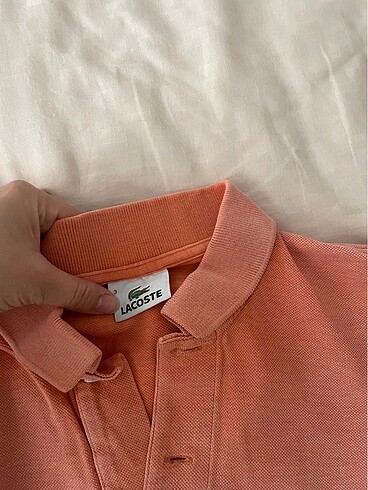 m Beden Lacoste tshirt