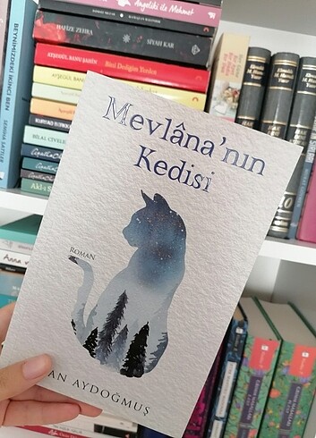 Mevlana'nın Kedisi 