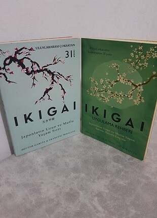 İkigai 
