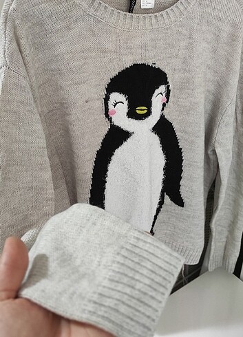 Penguenli kazak