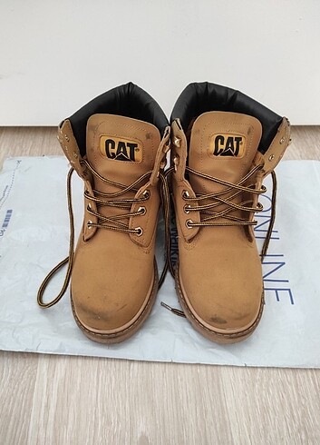 Cat bot