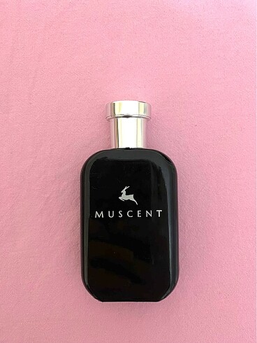 MUSCENT N255 SOLEİL BLANC PARFÜM