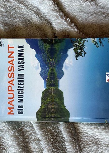 Maupassant - Bir Mucizeyi Yaşamak Kitabı