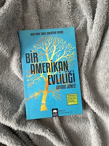 Bir Amerikan Evliliği