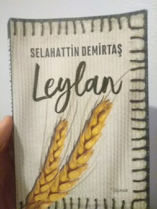Leylan