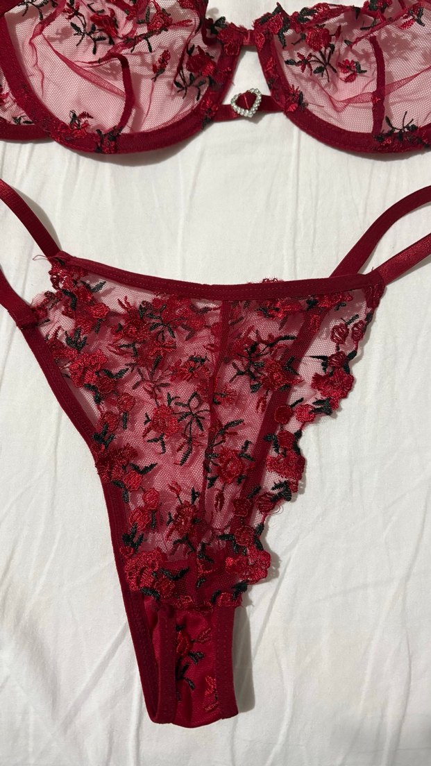 Kullanılmadı İşlemeli Gotik Sütyen ve Külot Takımı - Görsel 4