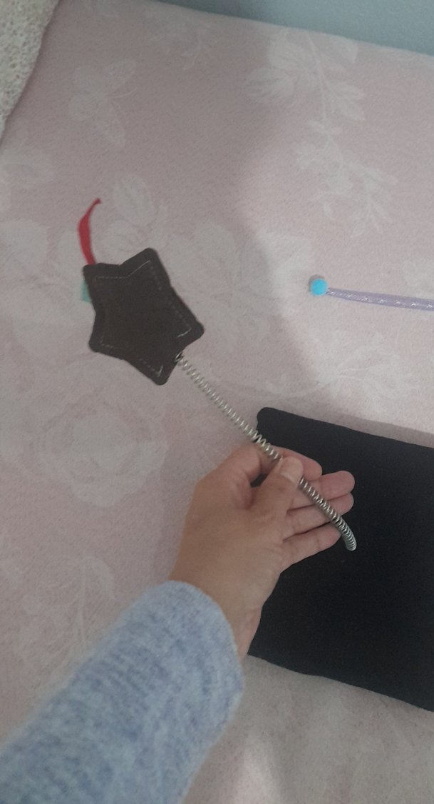 Yıldızlı Kedi Oyuncağı ve Renkli Tüyler - Görsel 2