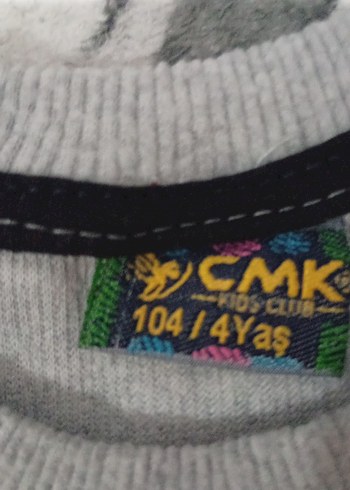 Gri Erkek Çocuk Baskılı Sweatshirt - Görsel 3