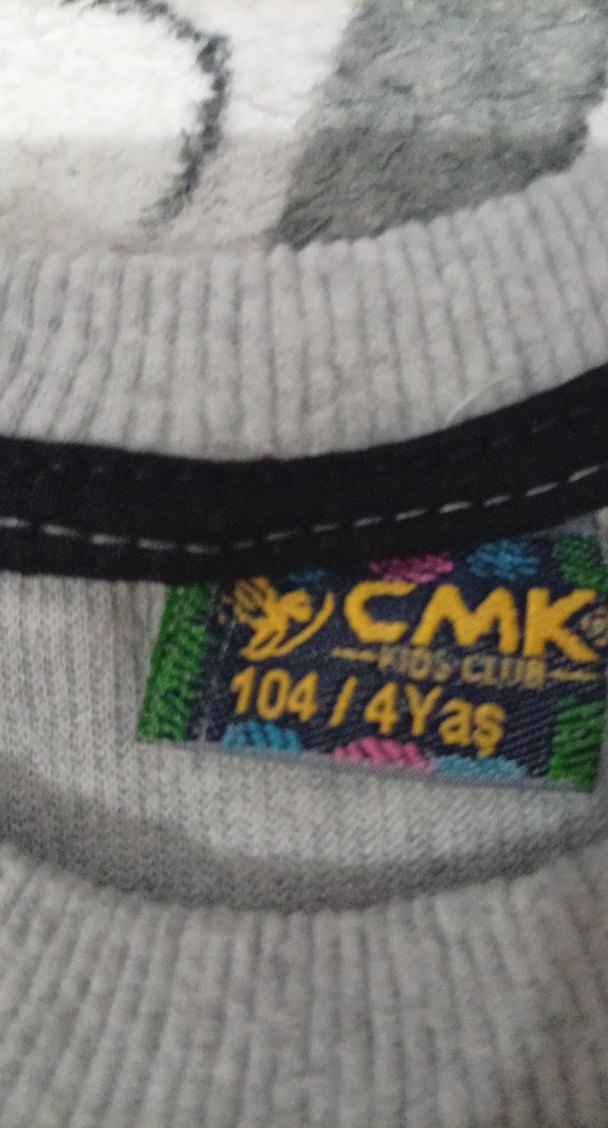 Gri Erkek Çocuk Baskılı Sweatshirt - Görsel 3