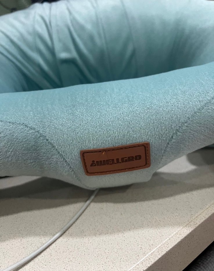 Wellgro Bebek Oturma Destek Yastığı - Görsel 3