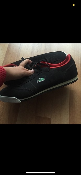 43 numara lacoste