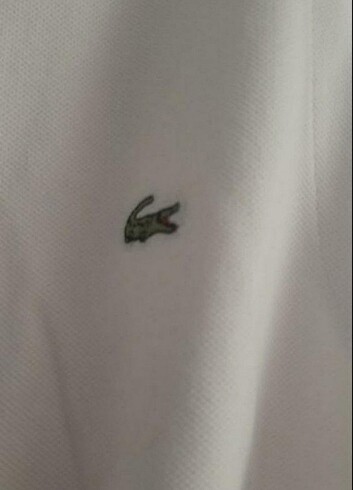 Lacoste Lacoste orjinal 