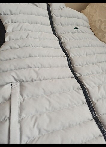 Lacoste Lacoste