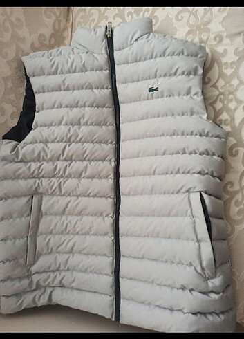 xl Beden Lacoste