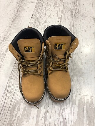 Cat bot