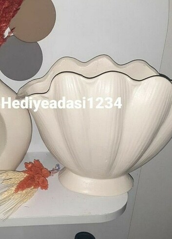 15-36 kg Beden İstiridye vazo ham boyasız