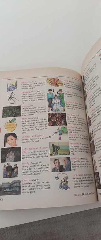 Miracle picture dictionary Mk publications - Görsel 3
